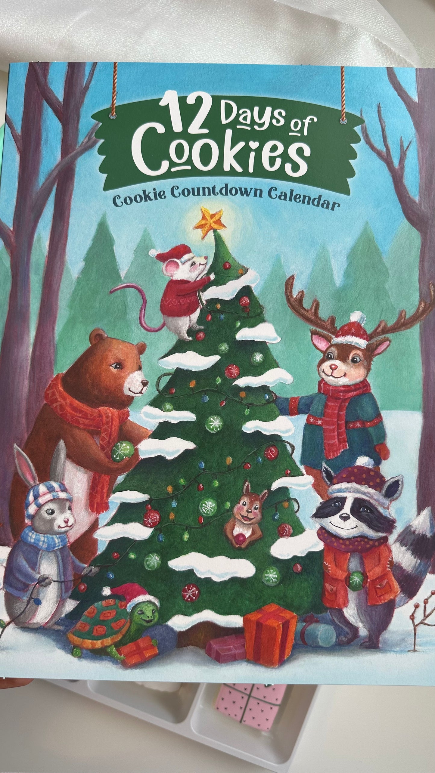 ๐ 12 Days of Sugar Cookie Advent Calendar (Pre-Sale)