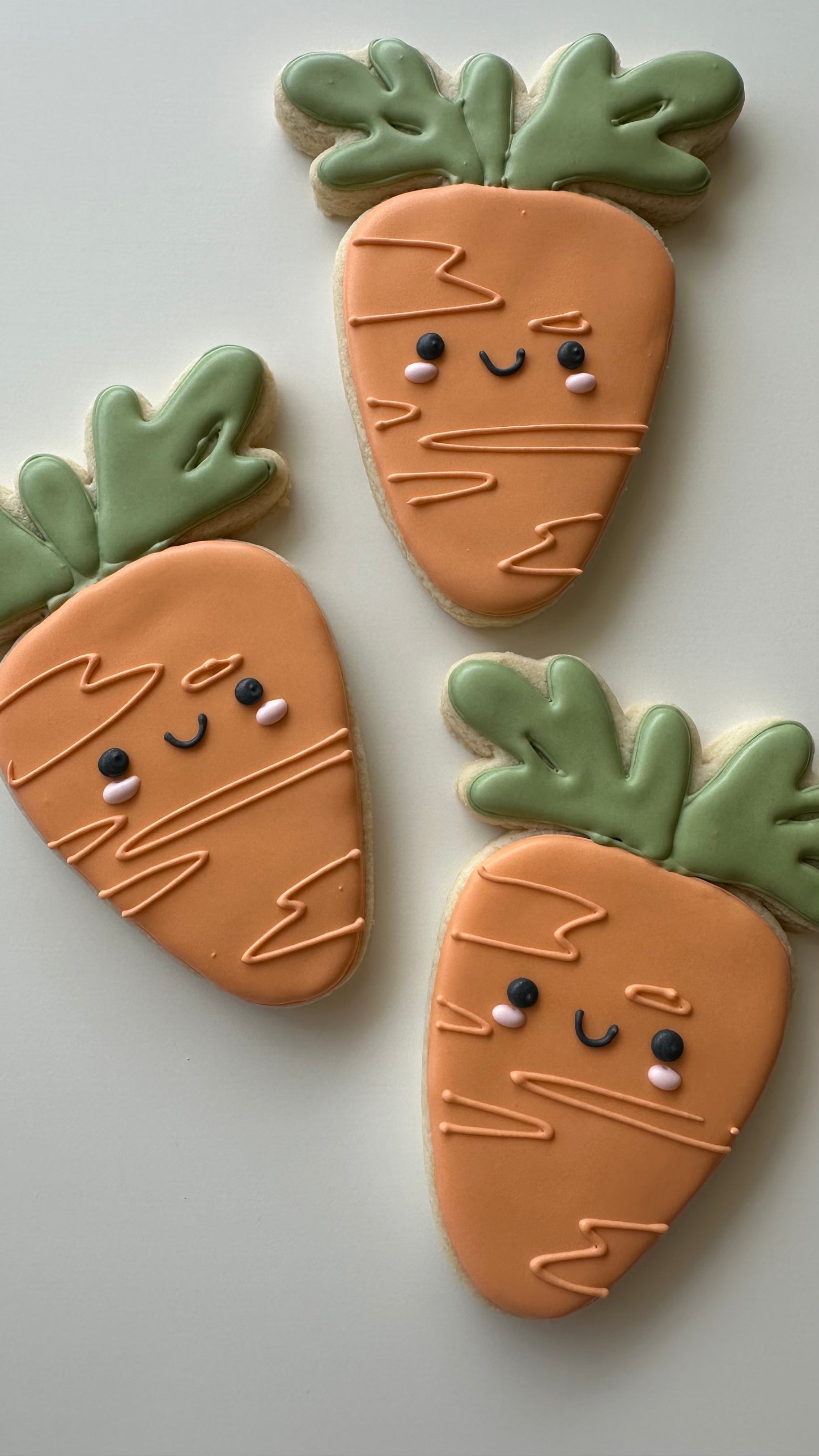 Garden Veggie - Carrot (3/ $20)